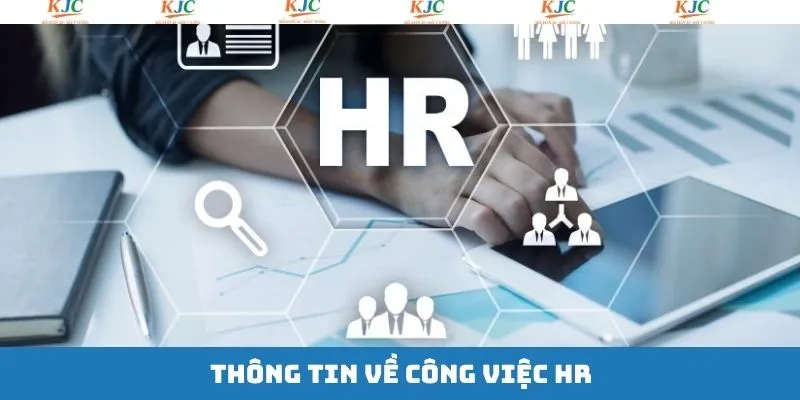 Tổng quan về vị trí việc làm tuyển dụng tại liên minh